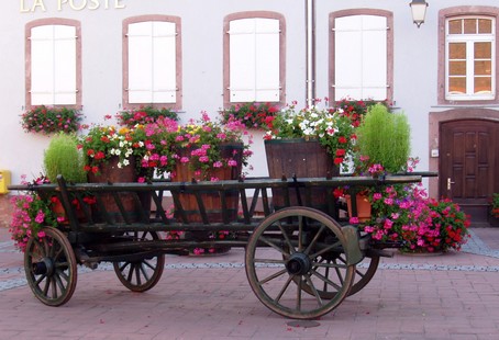 Scherwiller, joli village d'alsace